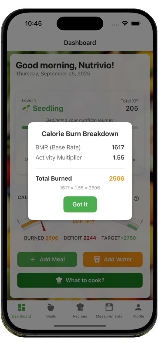 Traditional activity level calculator showing BMR and TDEE calculations with activity multipliers
