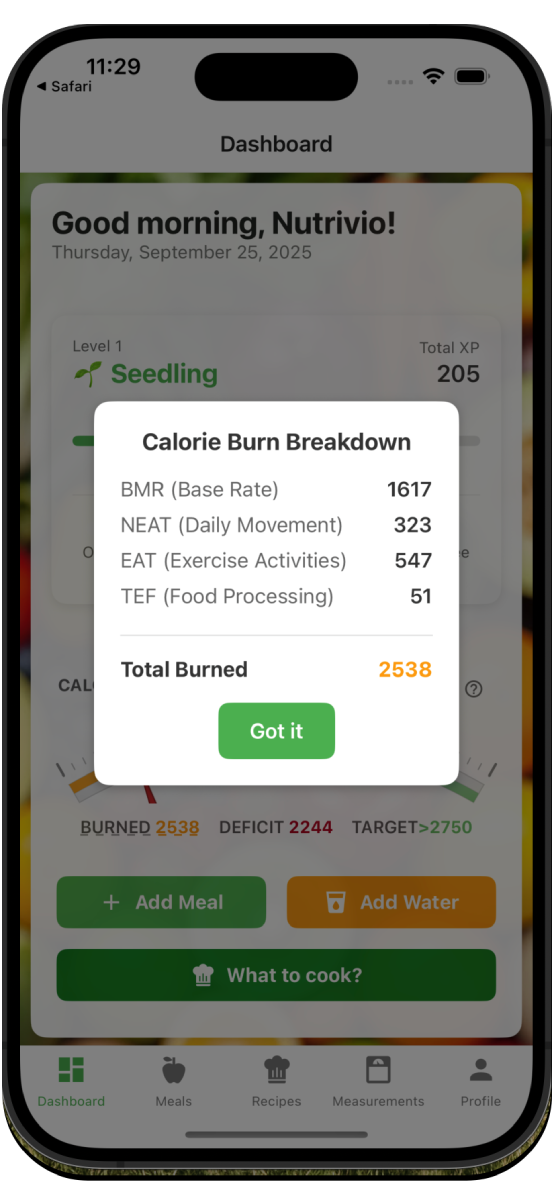 Strava integration showing real-time exercise calories, heart rate data, and comprehensive calorie burn calculation
